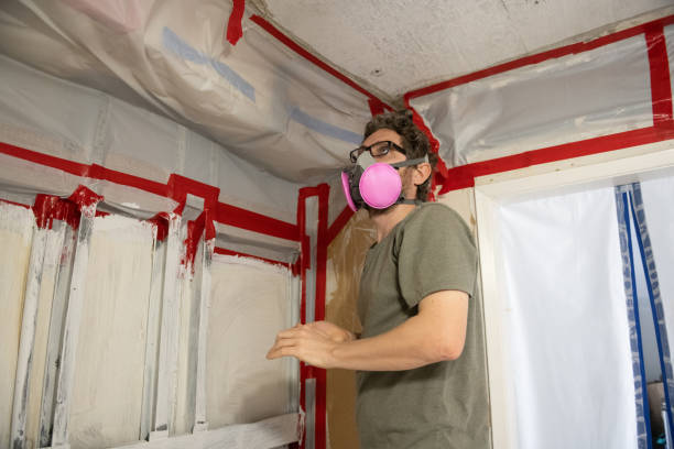 Professional Mold Removal in Show Low, AZ